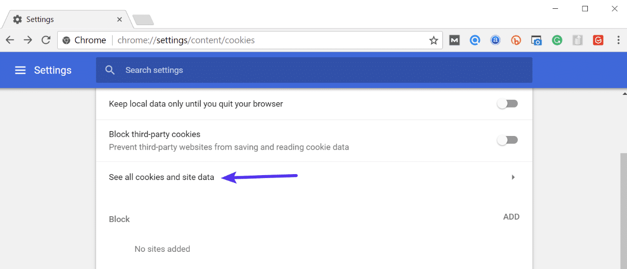 Chrome see all cookies