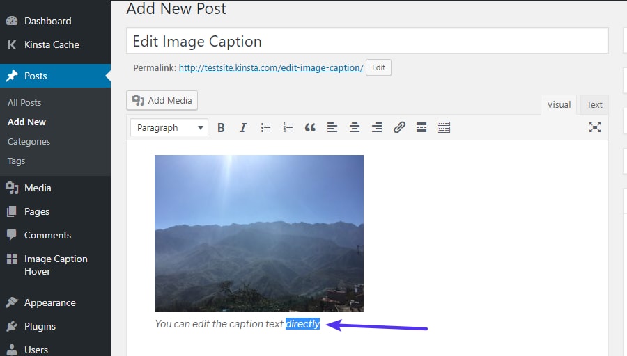 How To Add A Wordpress Image Caption Tips And Tricks 2697
