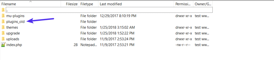 What you should see after renaming plugins folder