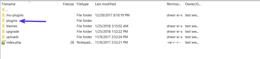 What you should see after renaming plugins_old folder