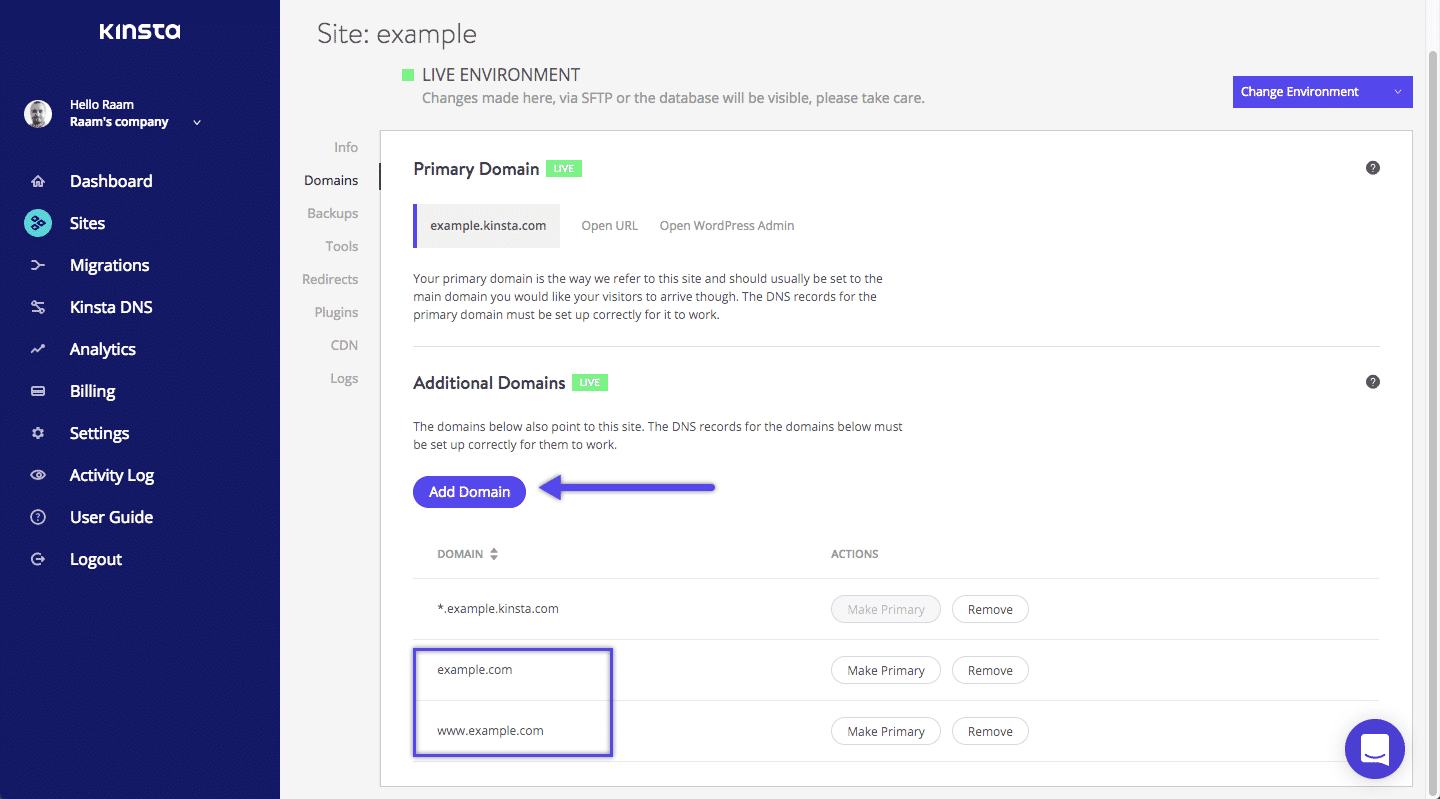 Kinsta domains