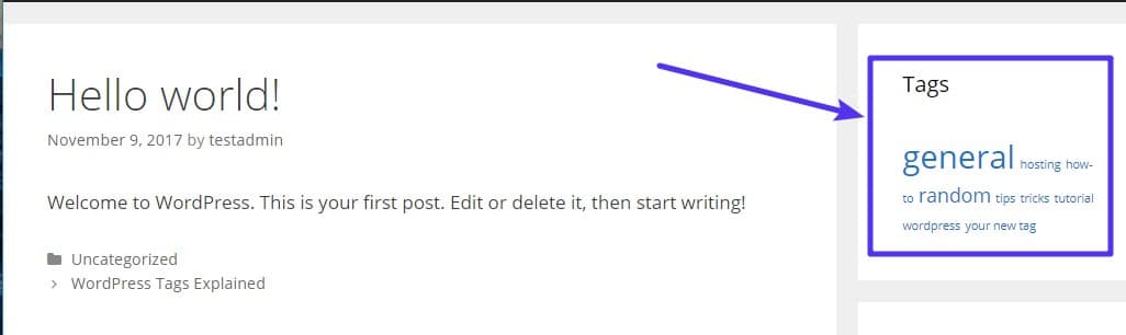 what-are-wordpress-tags-wordpress-tags-explained