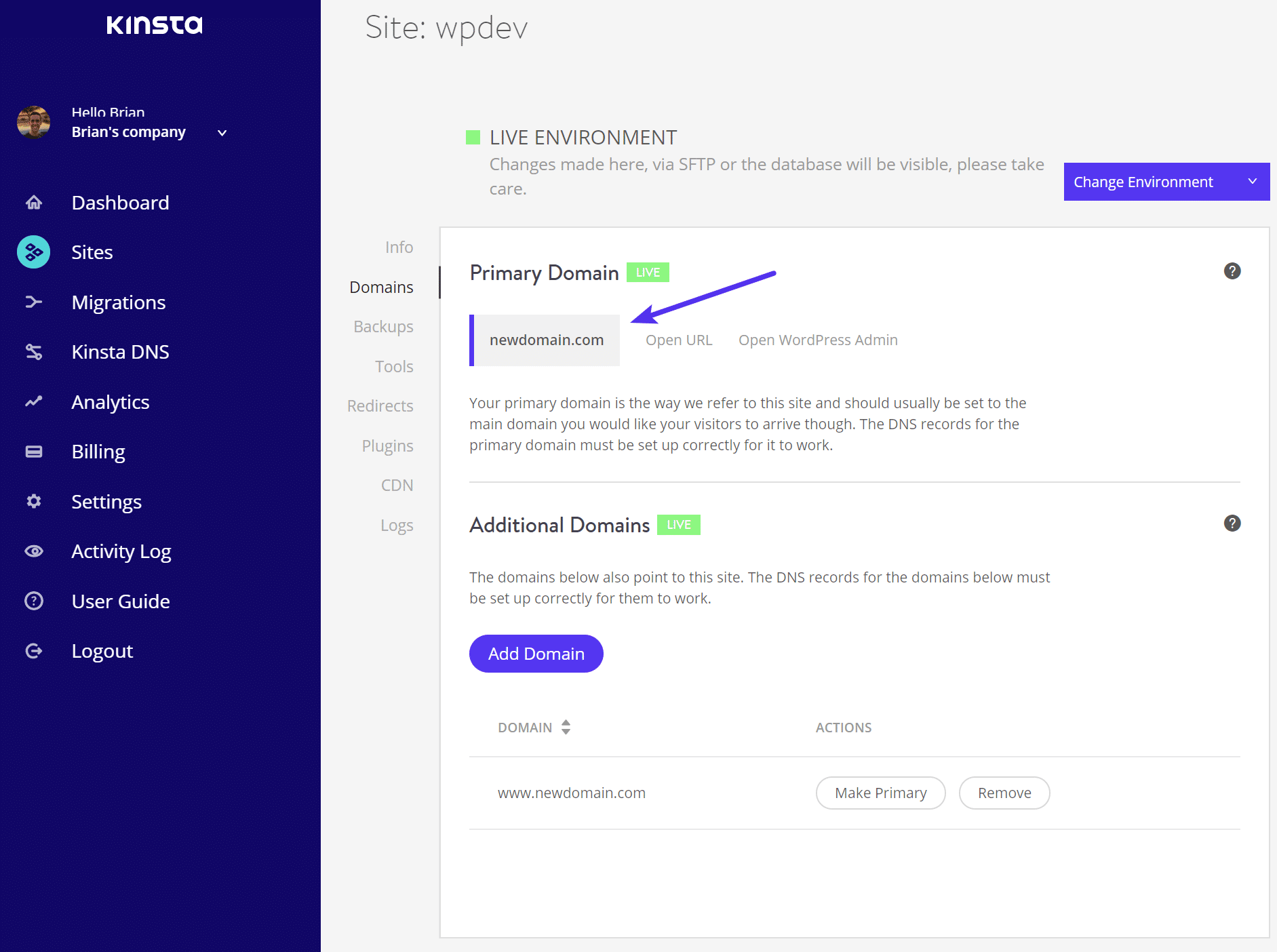 Kinsta primary domain