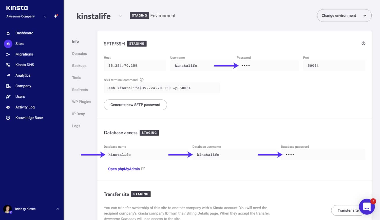 SFTP and database credentials in MyKinsta.