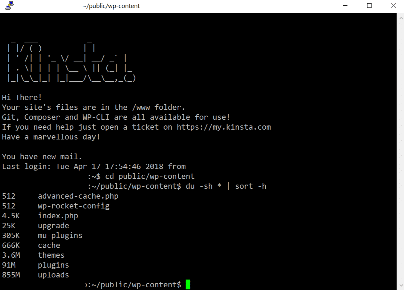 Check disk usage via SSH