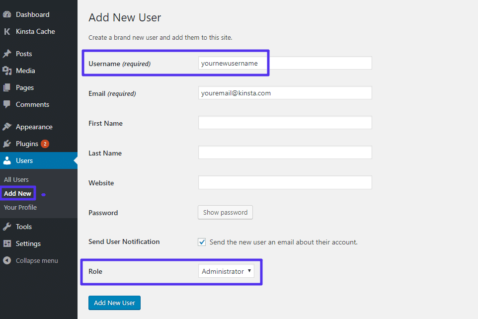 Create a new WordPress user