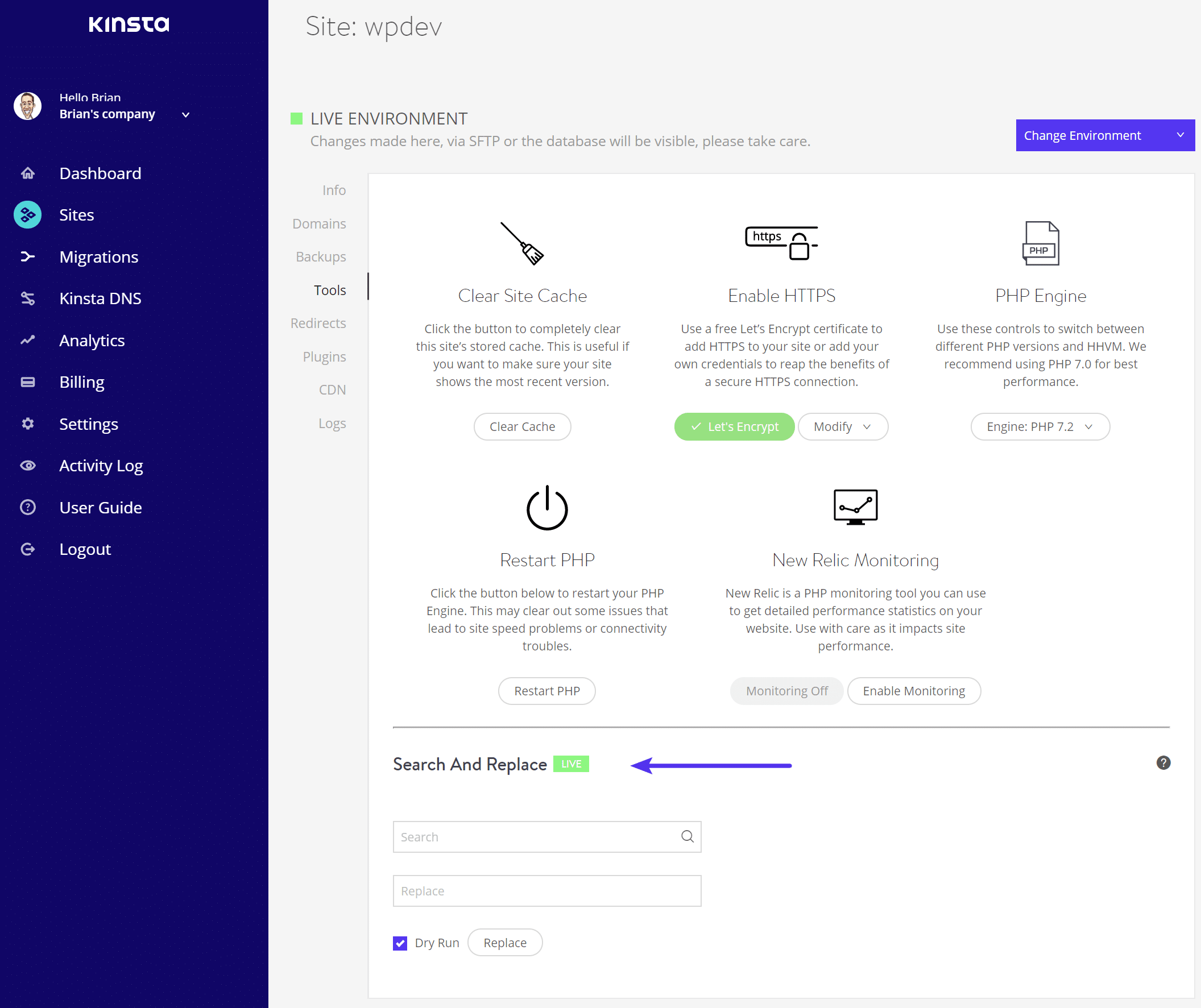 Kinsta search and replace tool