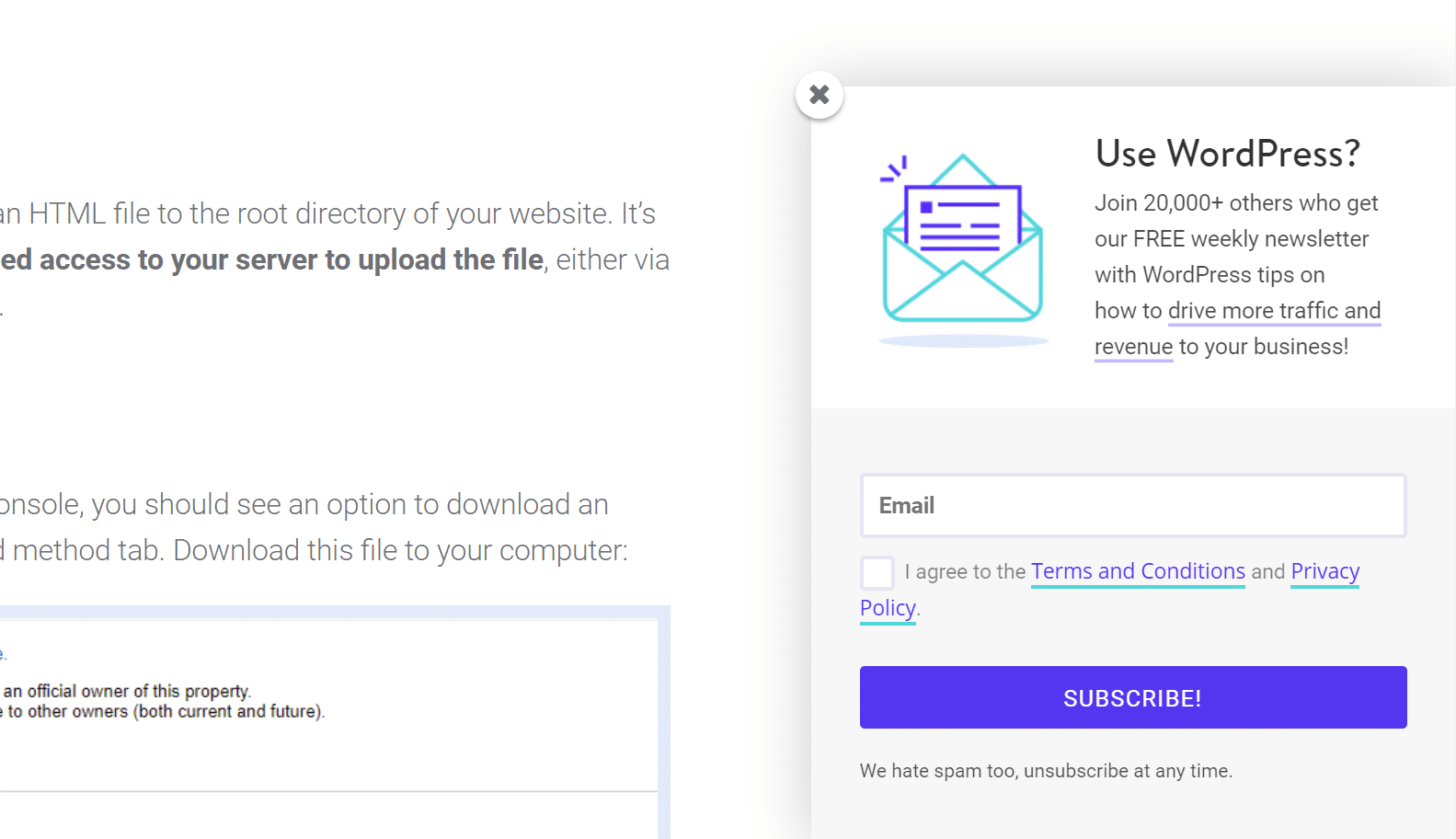 Schermata che mostra la CTA della newsletter di Kinsta