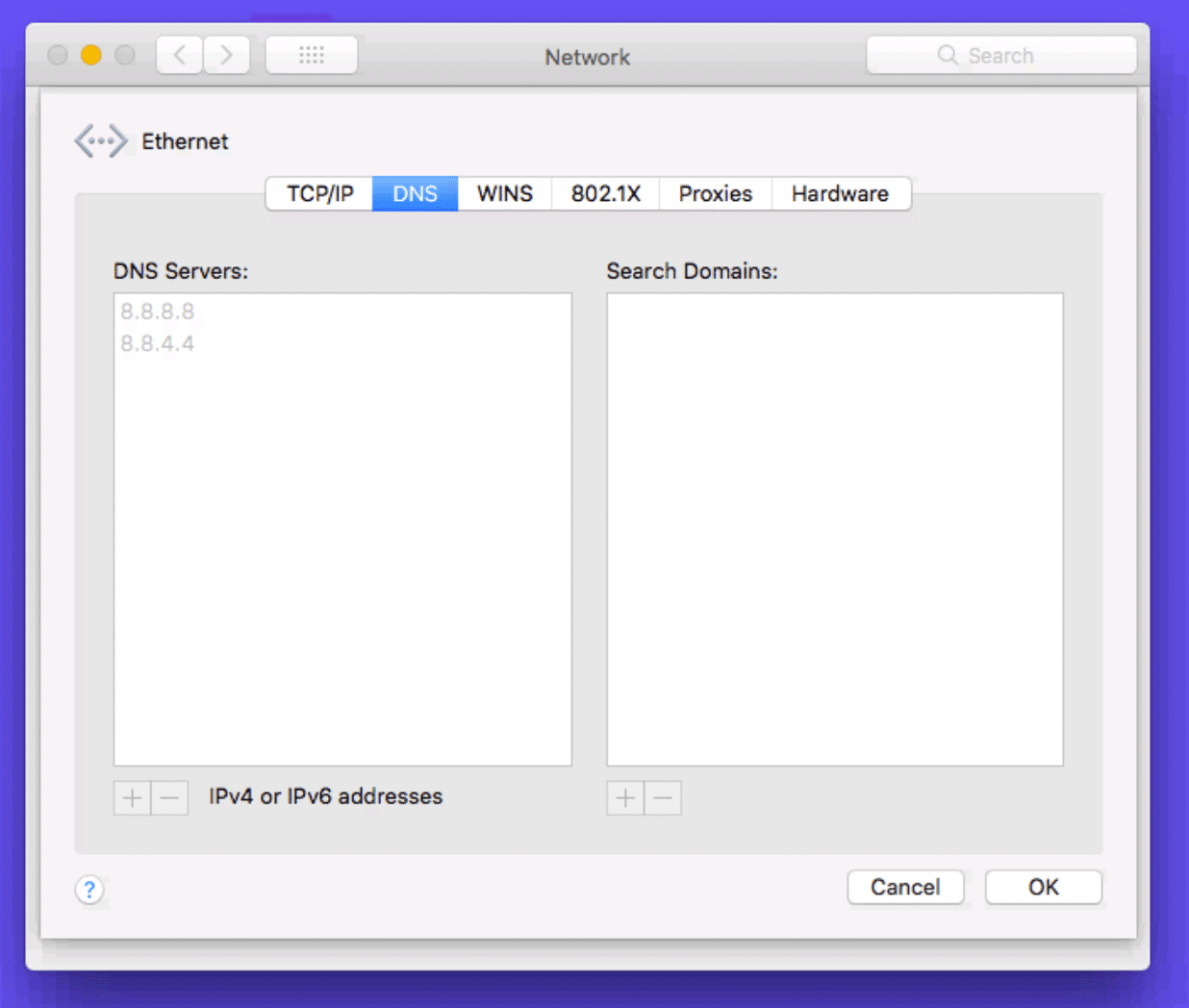 Mac Network DNS menu boks