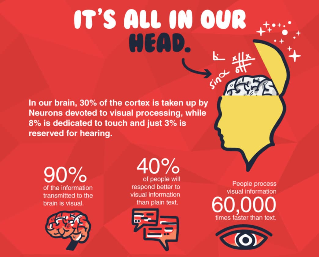Infografica che dice che il 30% della corteccia cerebrale è occupata da neuroni dedicata a processare informazioni visive; l’8% è dedicato al tatto e il 3% all’udito