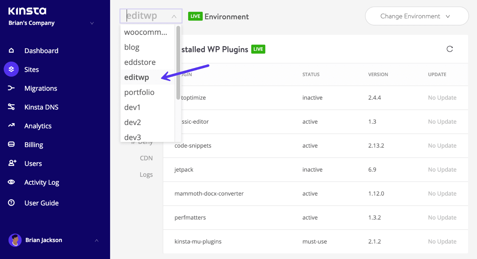 MyKinsta - WordPress site navigation