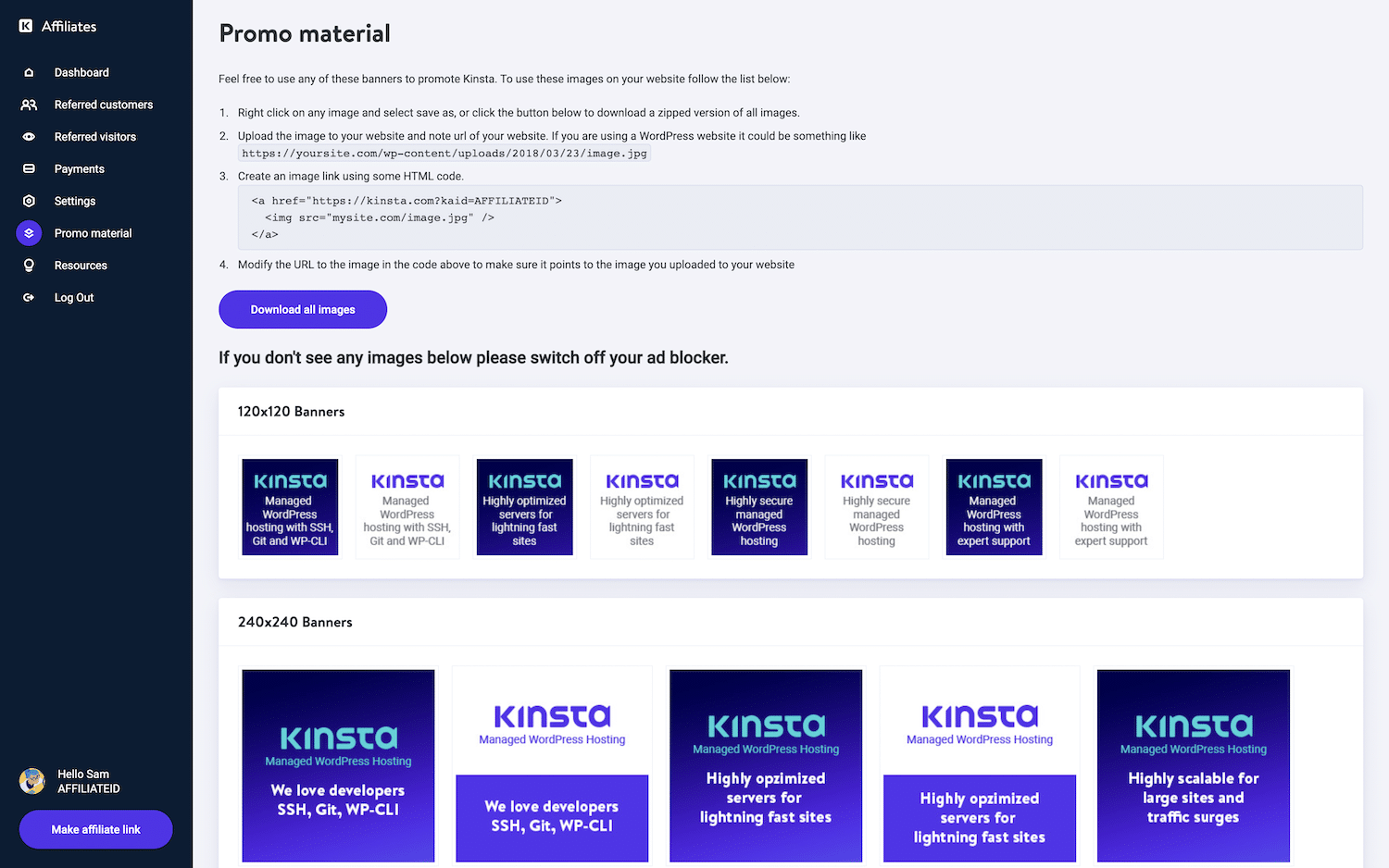 Kinsta affiliate banners