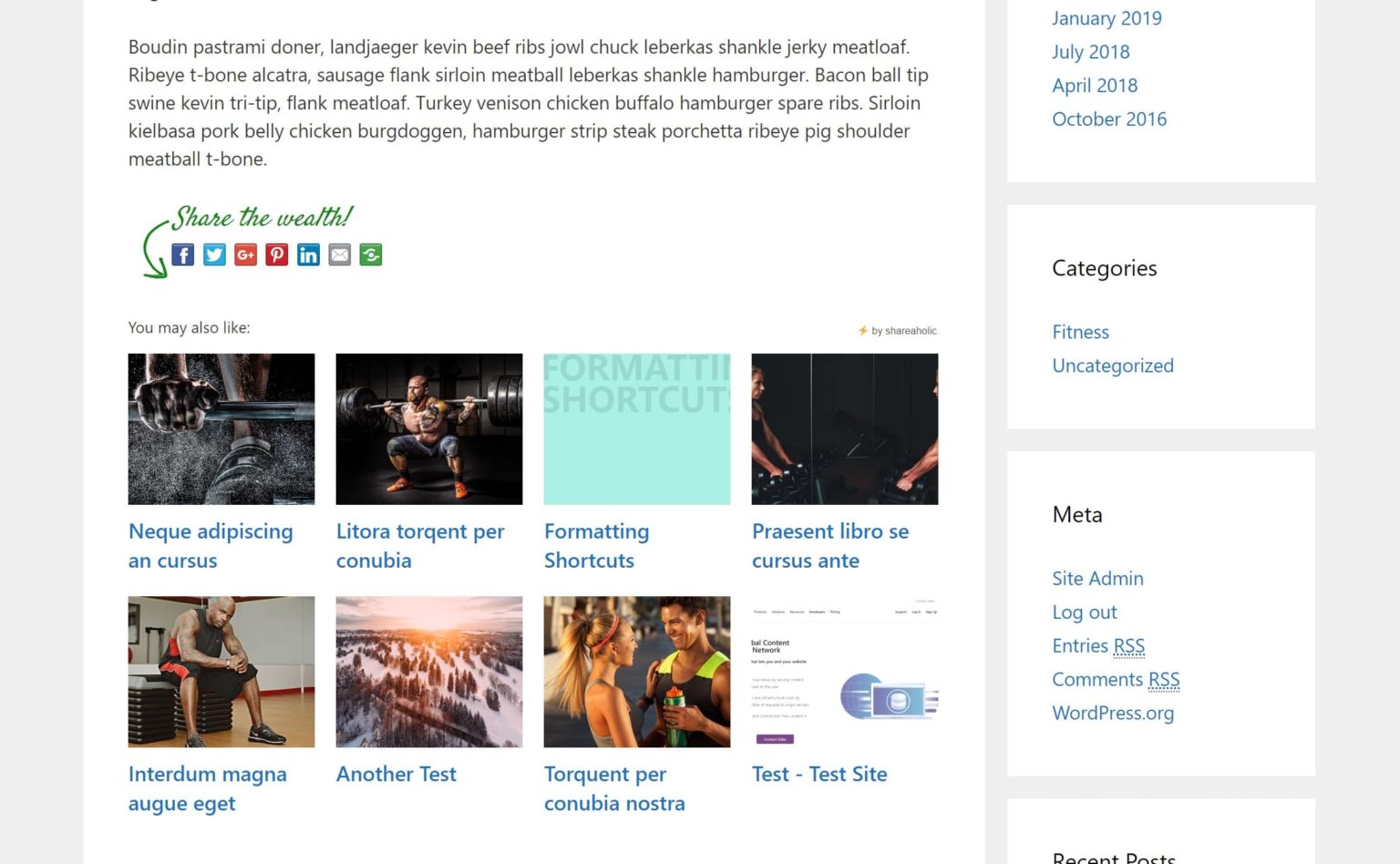 Shareaholic Review: A Suite of Audience-Engaging WordPress Tools