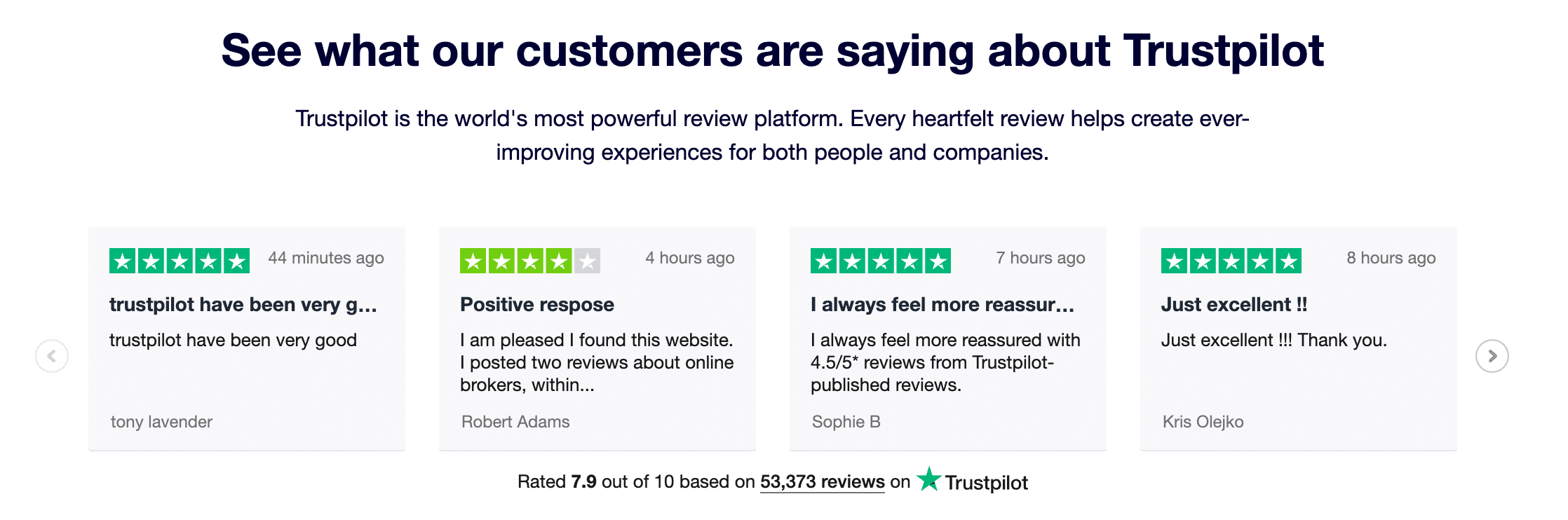 Ecommerce customer reviews