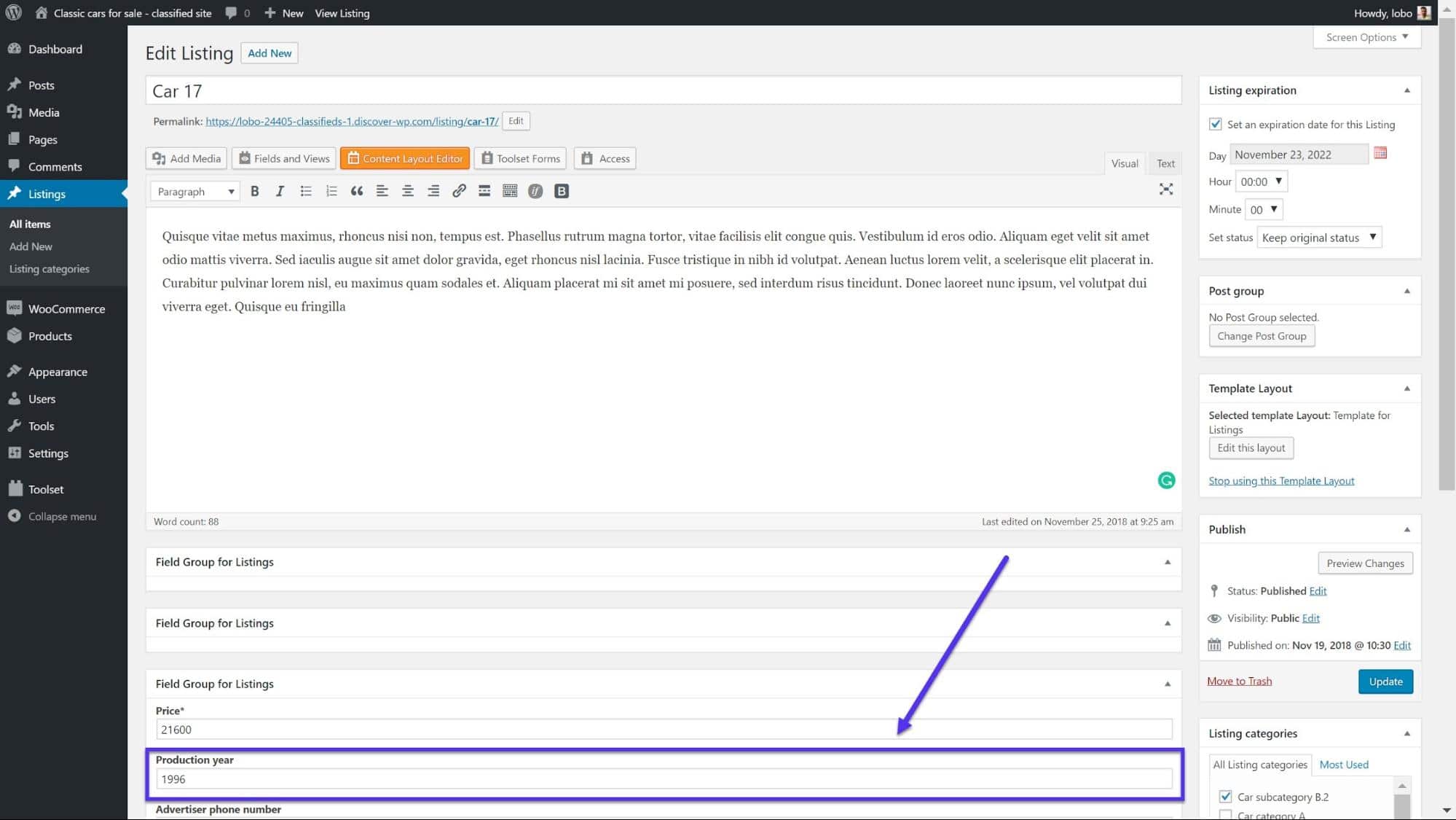 How custom fields are displayed on backend