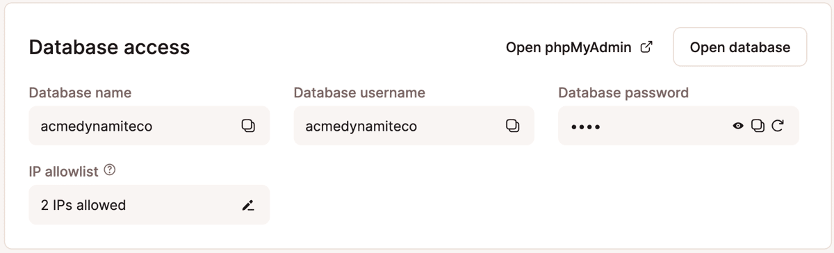 Uno screenshot della scheda “Informazioni sull’accesso al database” in MyKinsta.