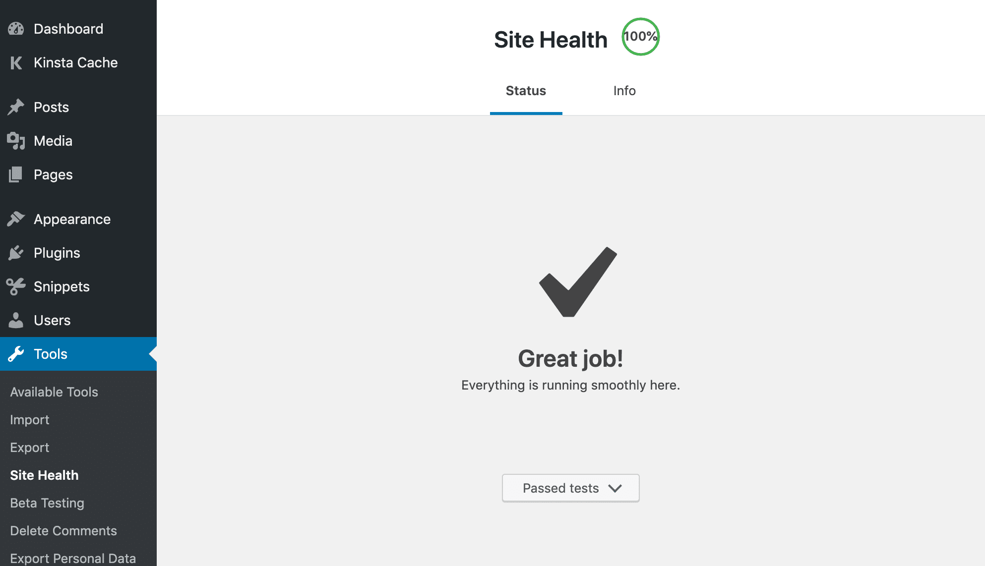 Site Health tool in WordPress - 100% score