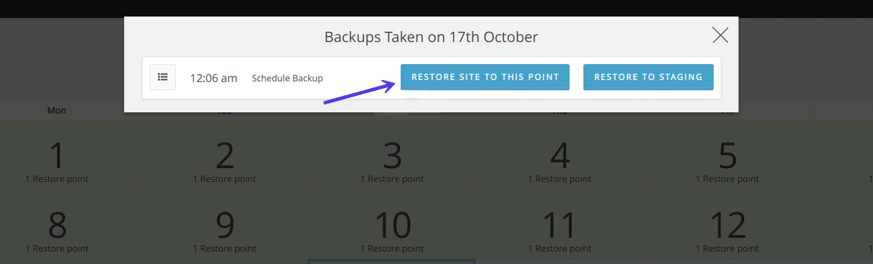 Restore WordPress from backup with WP Time Capsule