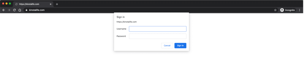 How To Password Protect Your WordPress Site: Every Method - Kinsta®