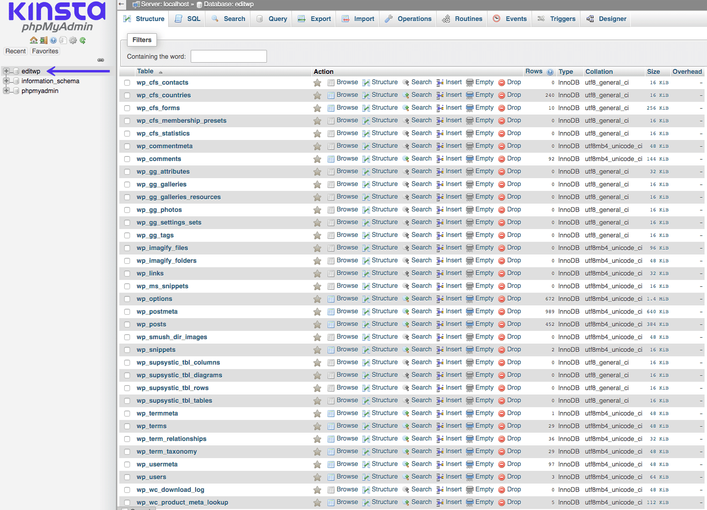 wordpress database