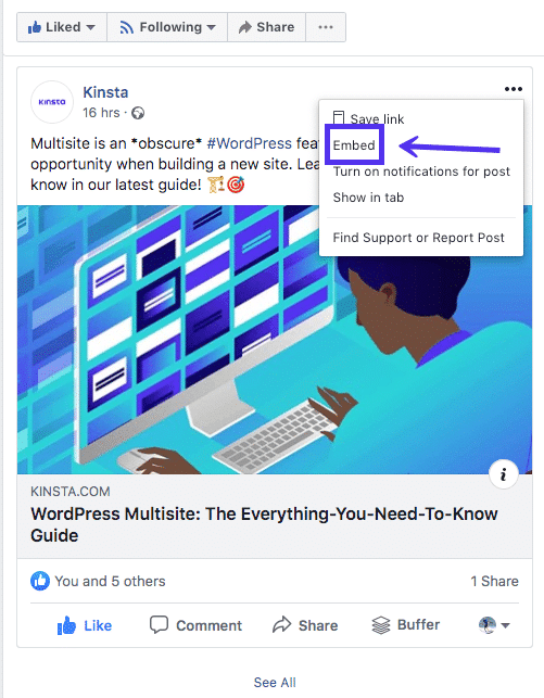 Select Facebook's embed feature