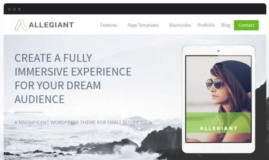 allegiant - best WooCommerce themes