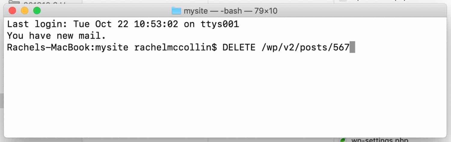 The WordPress REST API DELETE command