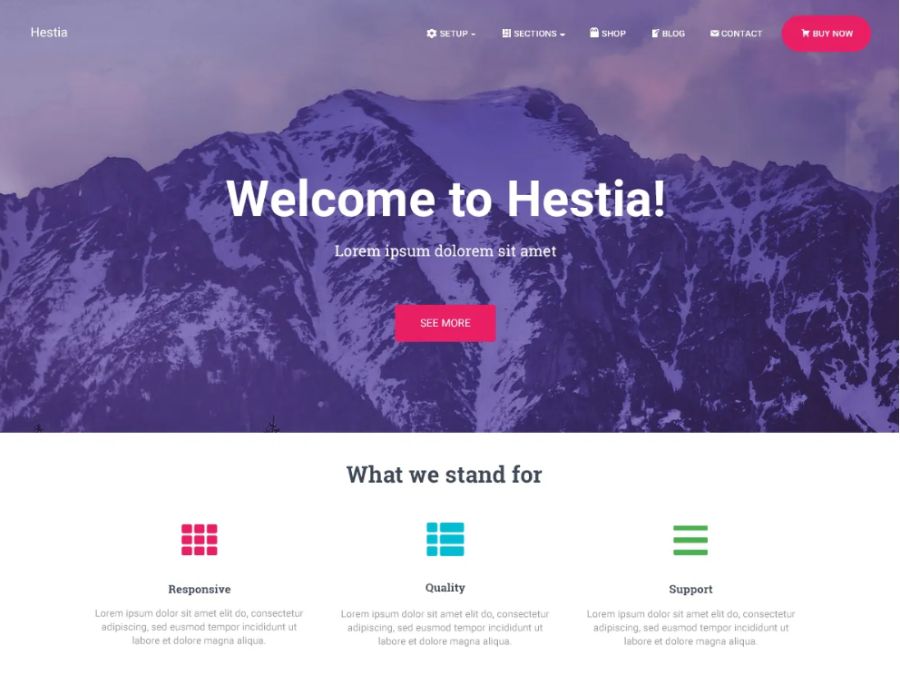 hestia - best WooCommerce themes