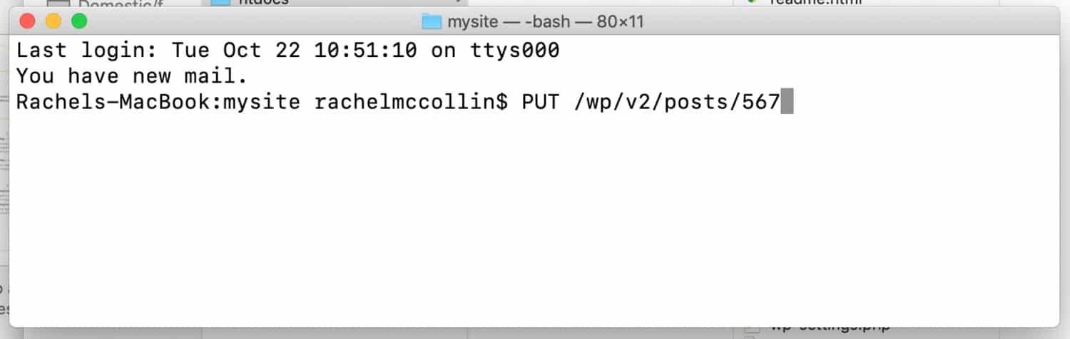 The WordPress REST API POST command