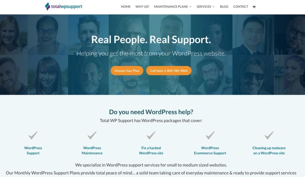 WordPress Maintenance: Best Practices + 22 Support Services