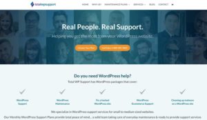 WordPress Maintenance: Best Practices + 22 Support Services