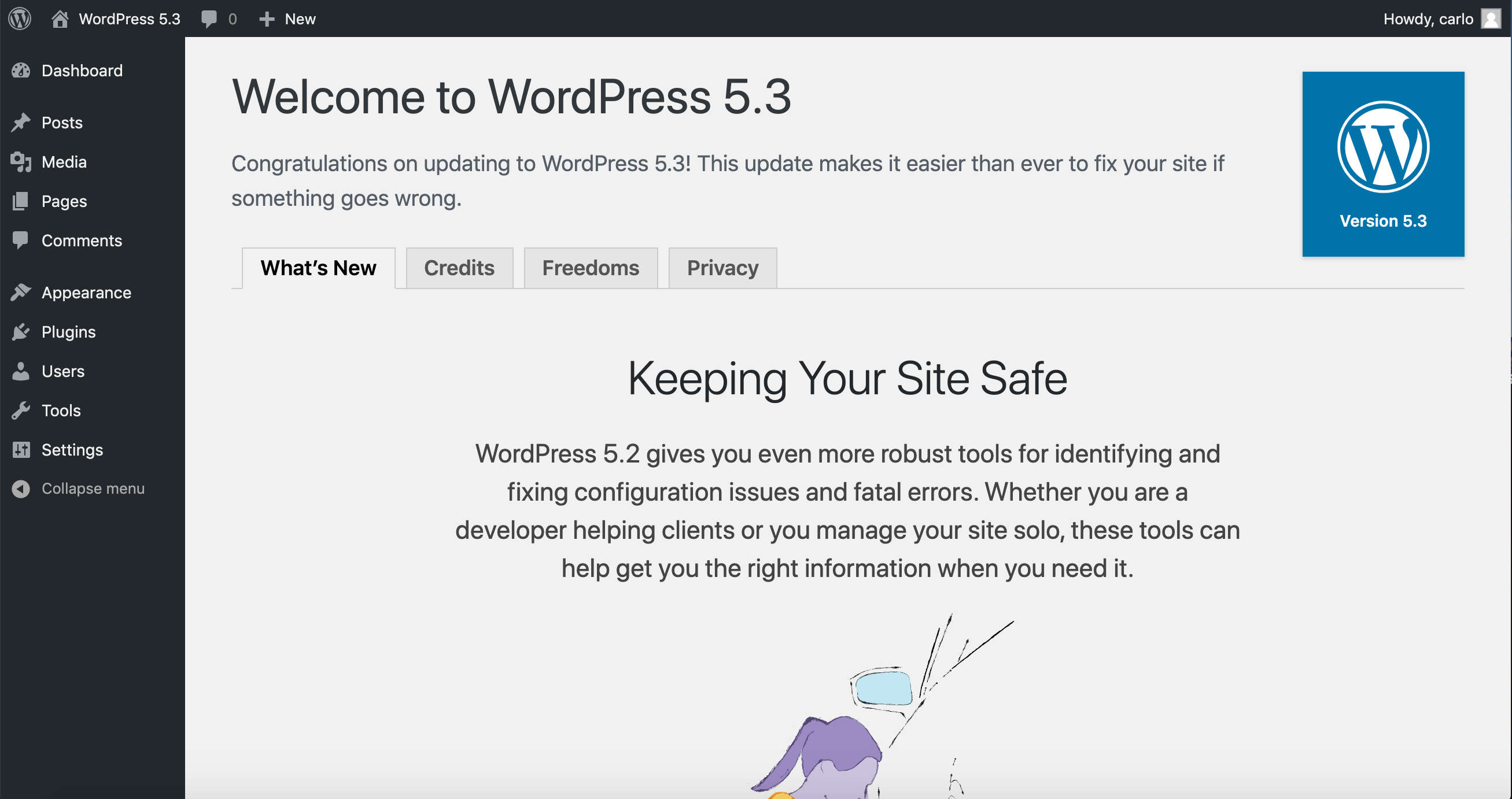 Temporary WordPress 5.3 About page