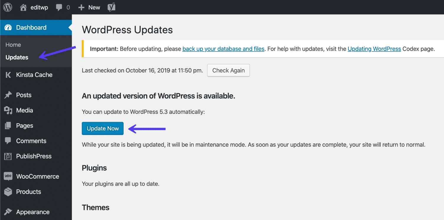 Update to WordPress 5.2 in dashboard