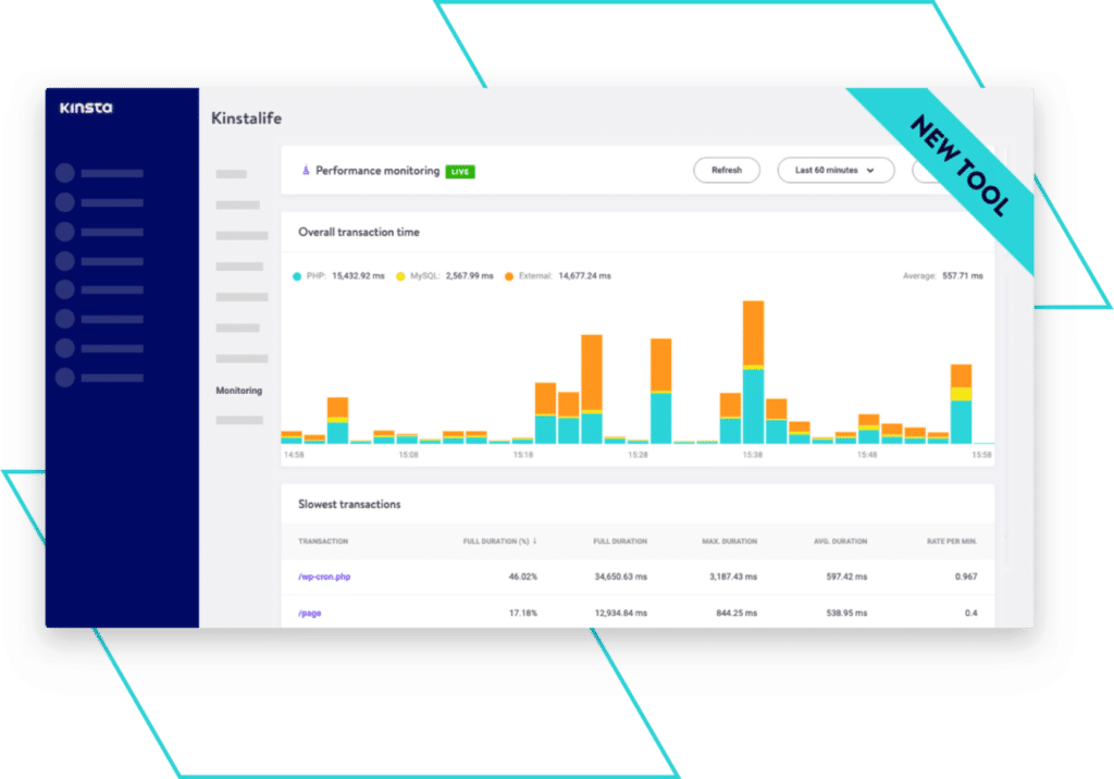 Kinsta APM