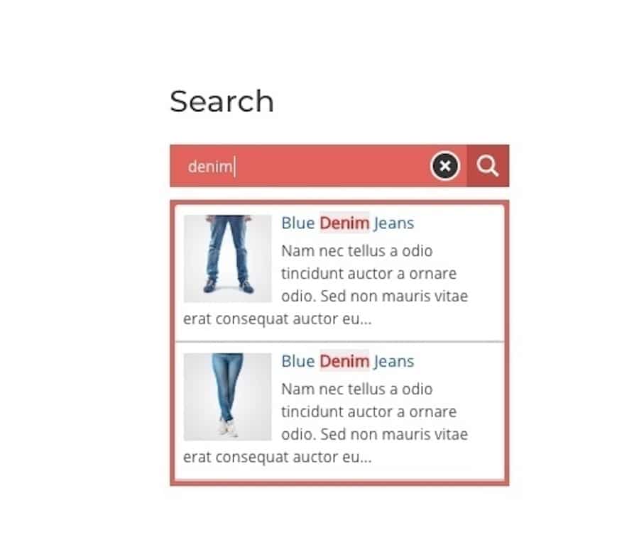 An example of a search form with keyword highlighting built by Ajax Search plugin.