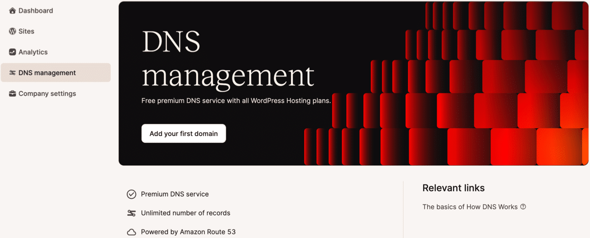 A screenshot of the DNS management landing page in MyKinsta.