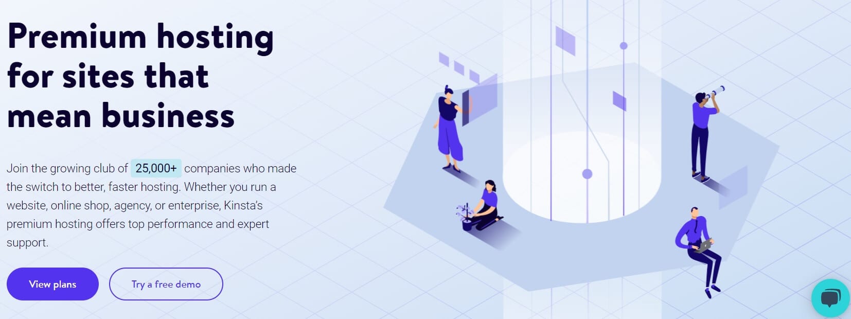 The Kinsta website