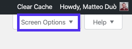 The Screen Options tab in the menu editor