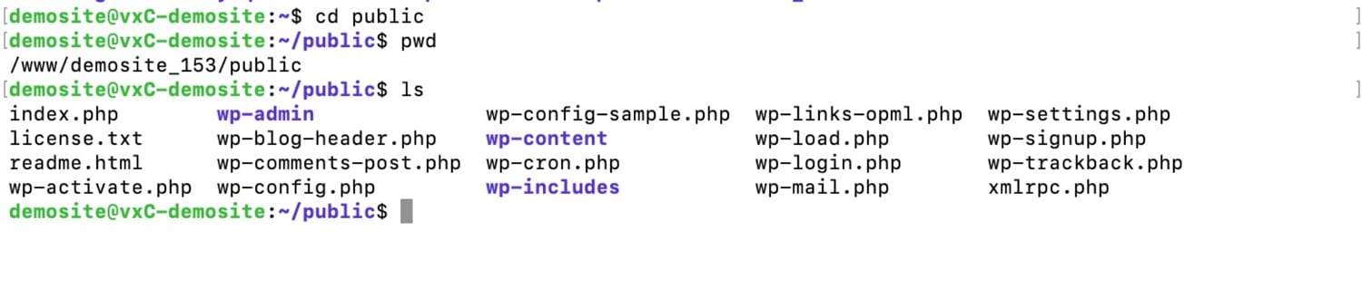 SSH commands: Moving into the public directory