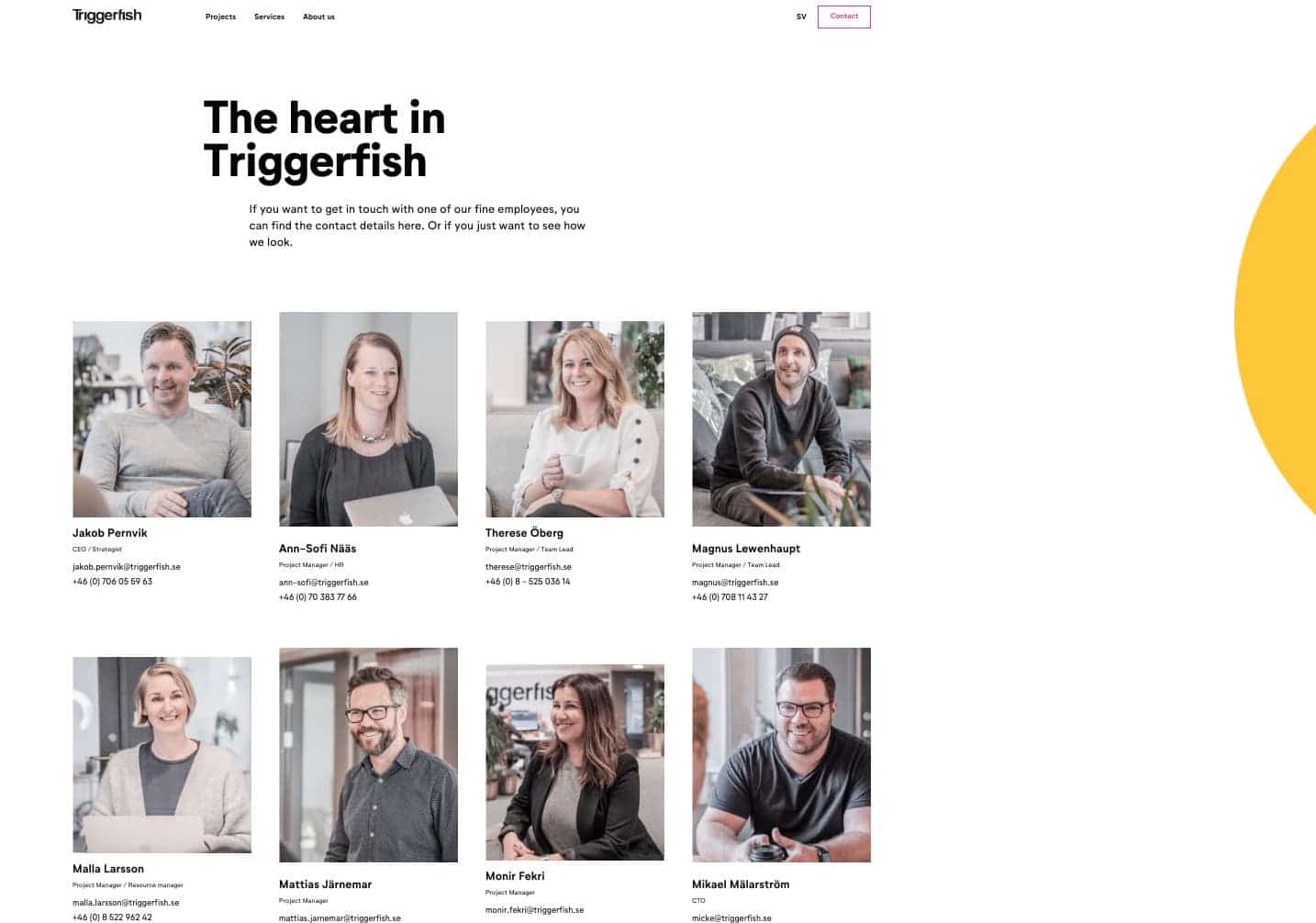 Triggerfish ger en titt på de som arbetar bakom kulisserna