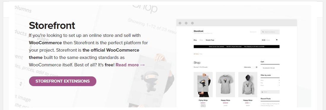 اختر سمة WooCommerce سريعة (مصدر الصورة: WP Rocket)