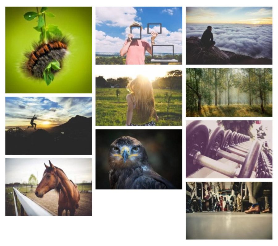 WordPress Photo Gallery Plugin by Gallery Bank.