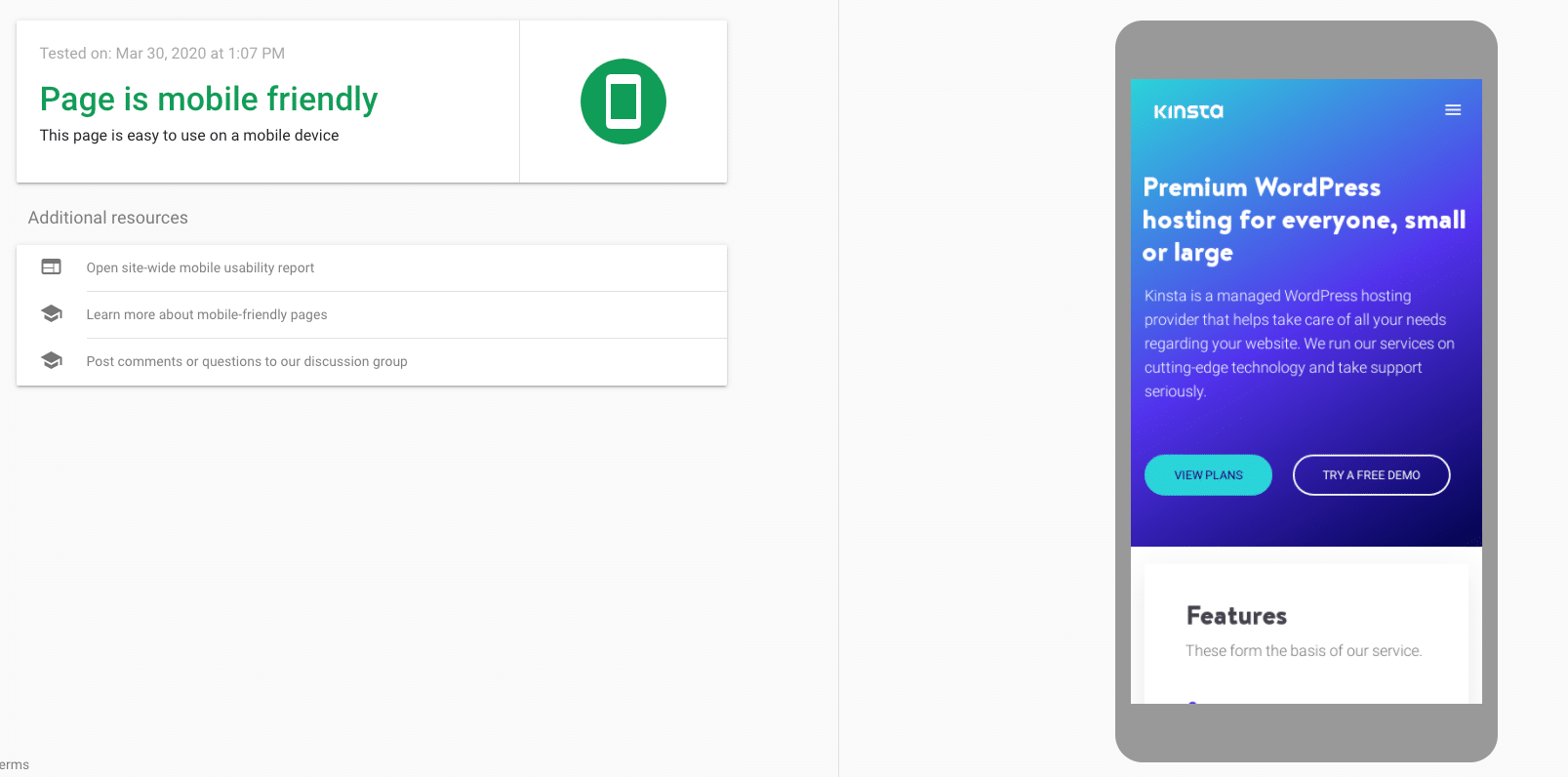 The Kinsta website in Google’s mobile-friendly test.