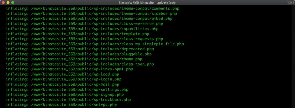 HOW TO UNZIP A ZIP FILE FROM THE TERMINAL visual data 7