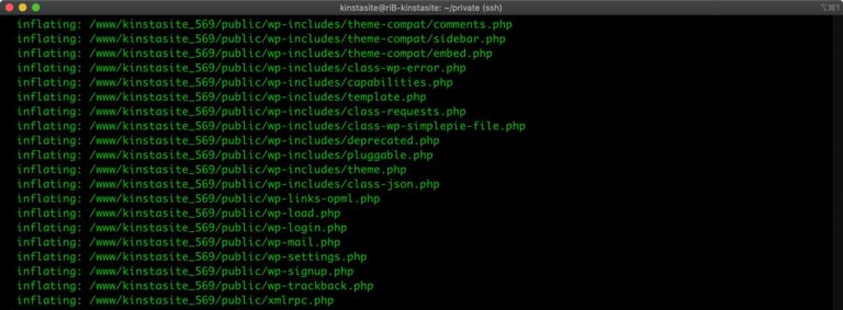 How to Unzip a ZIP File in Terminal Using SSH