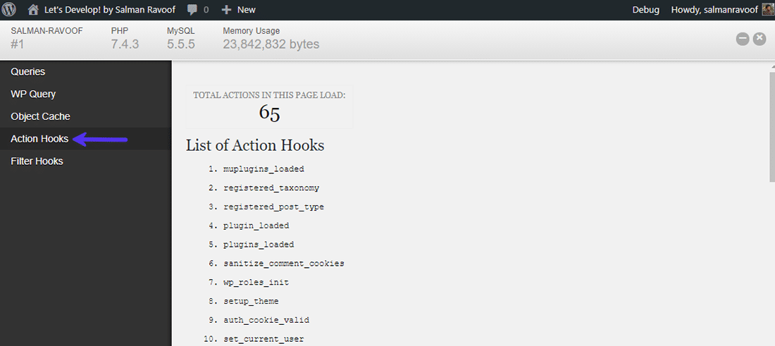 Action Hooks panel inside the Debug Bar dashboard