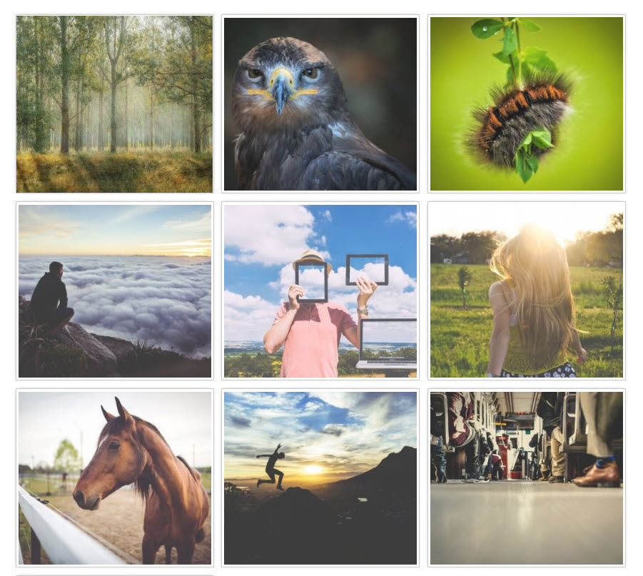 WordPress photo gallery plugins: Gmedia Photo Gallery