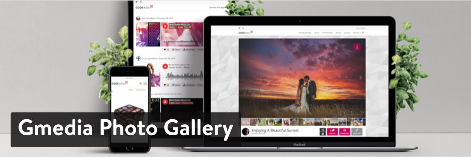 Gmedia Photo Gallery WordPress plugin.