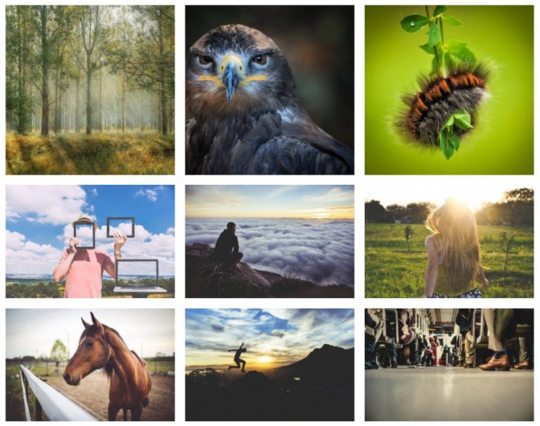 14 Best WordPress Photo Gallery Plugins in 2023