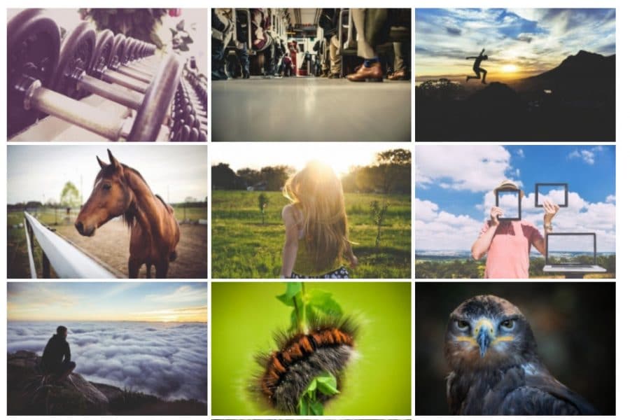 14 Best Wordpress Photo Gallery Plugins In 2024